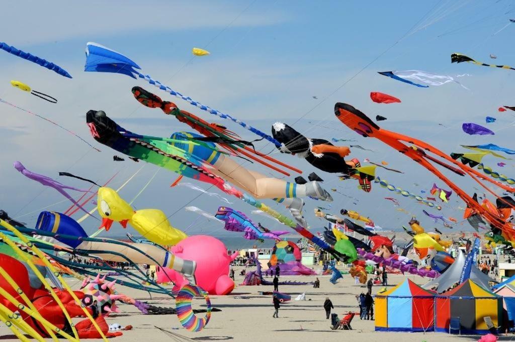 Opale * Berck